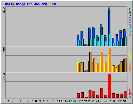 Daily usage for January 2025