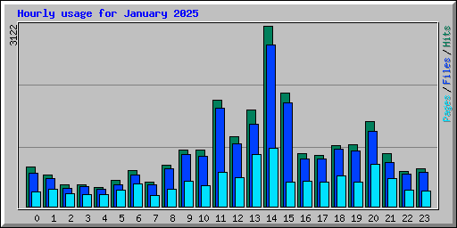 Hourly usage for January 2025