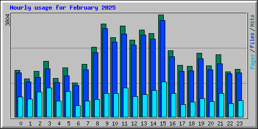 Hourly usage for February 2025